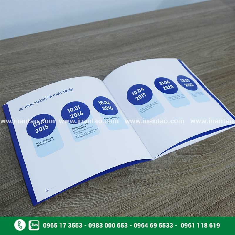 in catalogue giá rẻ