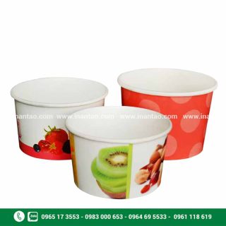 Tô Giấy 250ml